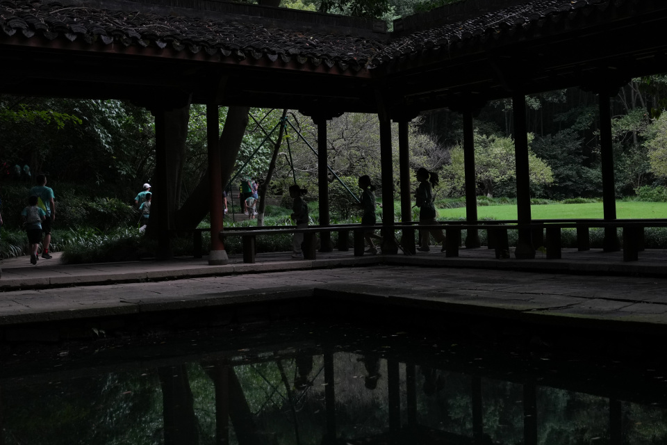 野赛的选手, 野赛的选手, inews