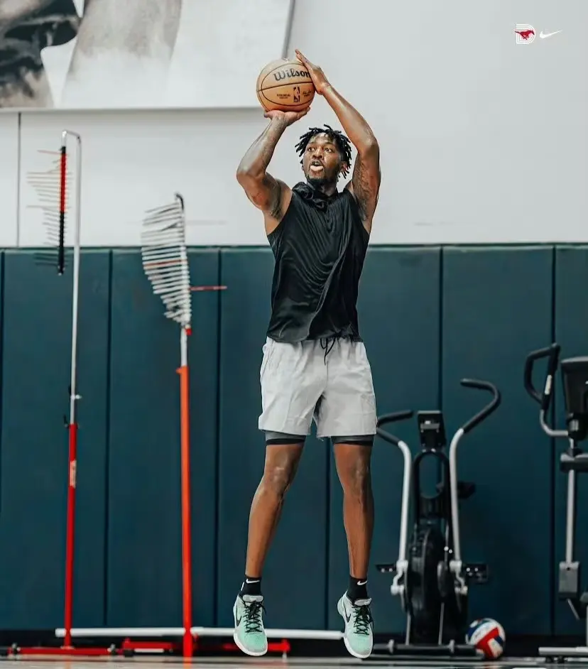 div, 主要进行了, alt