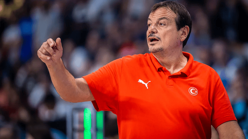 要么送出助, 申京或许是