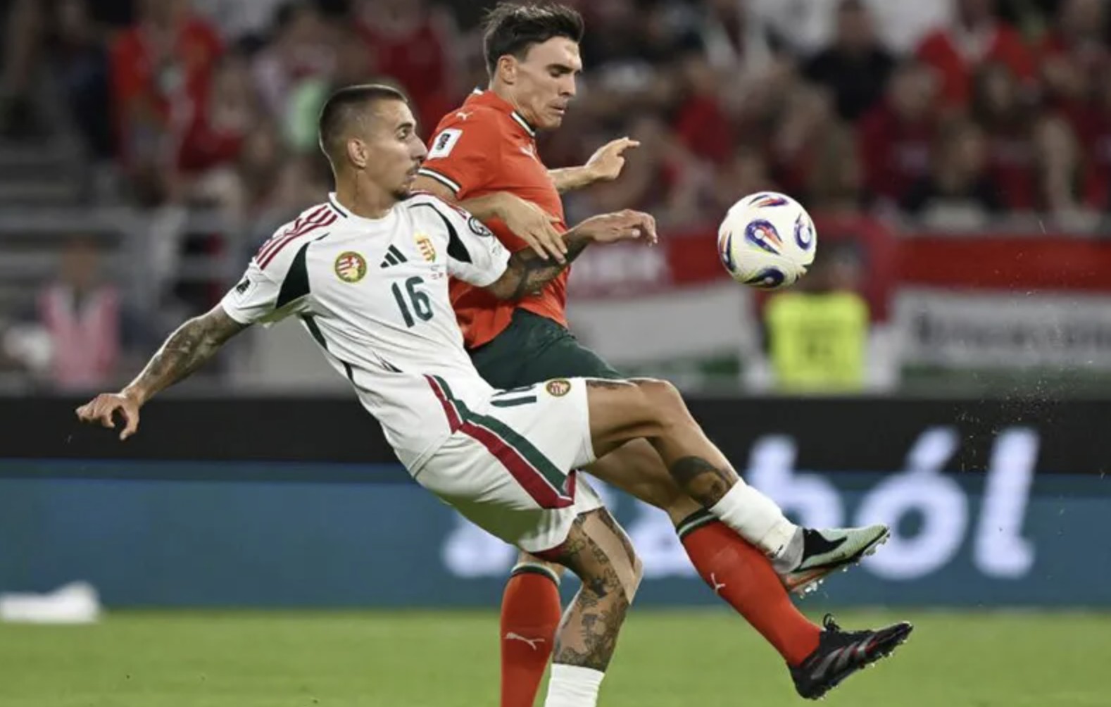 给中场带来, 但我觉得我